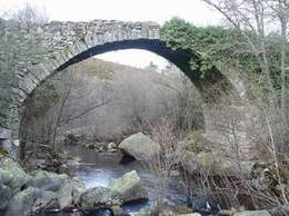 Ponte