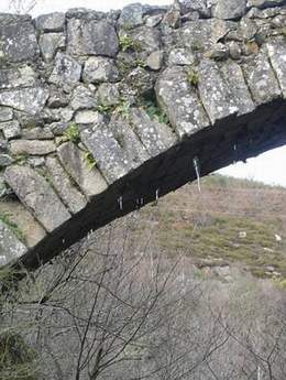 Ponte